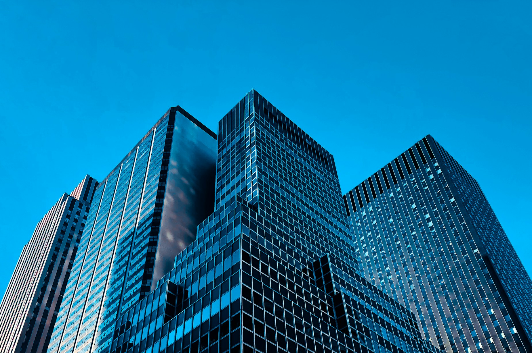 企業全景